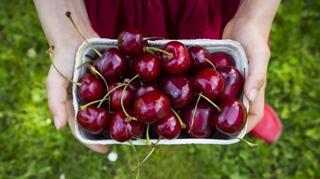 Cherry đỏ cung cấp vitamin, khoáng chất và hợp chất cho cơ thể.